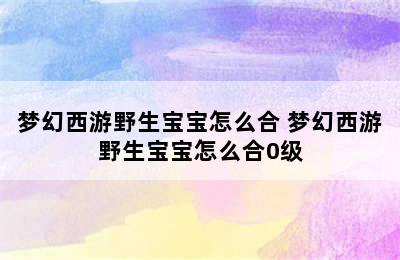 梦幻西游野生宝宝怎么合 梦幻西游野生宝宝怎么合0级